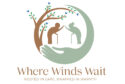 Where Winds Wait